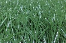 草国产,探寻自然与文化的交融之地